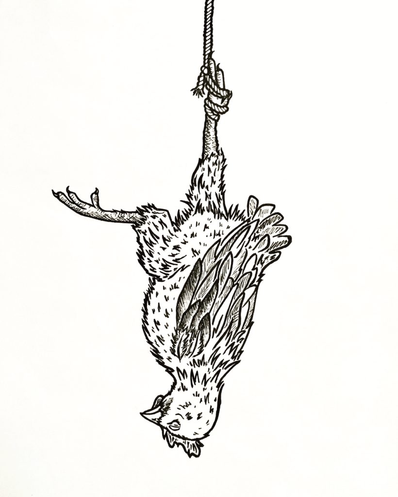 Inktober 2018 Day 5 - 'Chicken'